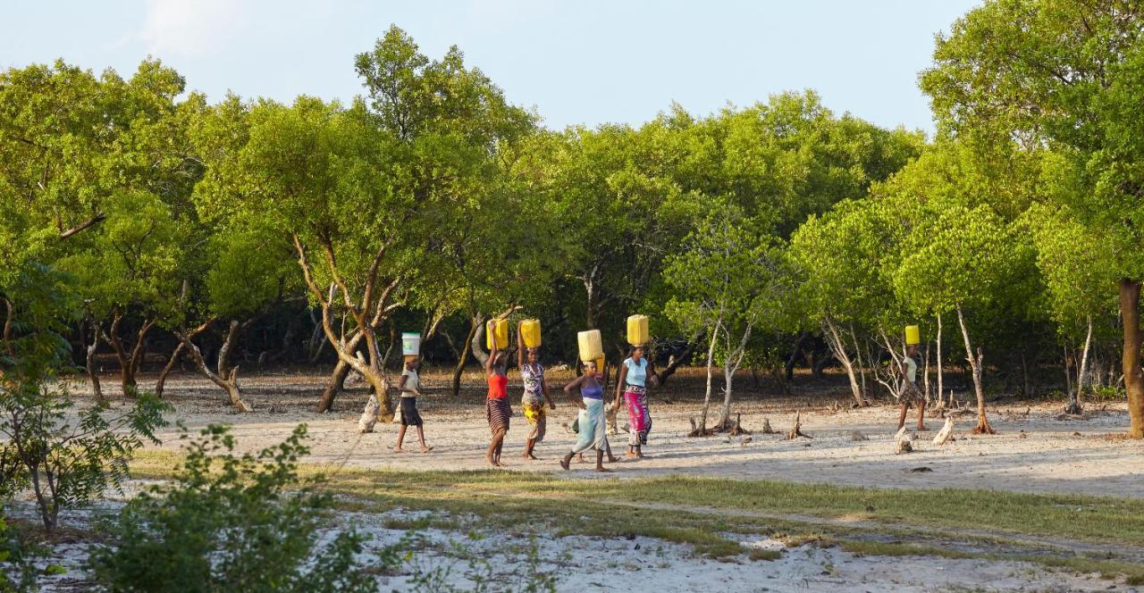 Mangrove View Bed & Breakfast Watamu Ngoại thất bức ảnh