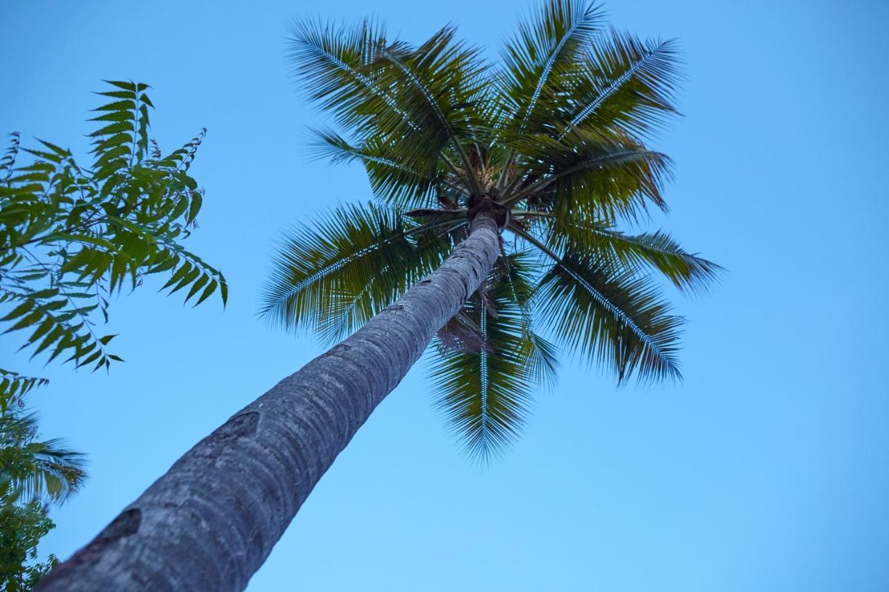 Mangrove View Bed & Breakfast Watamu Ngoại thất bức ảnh